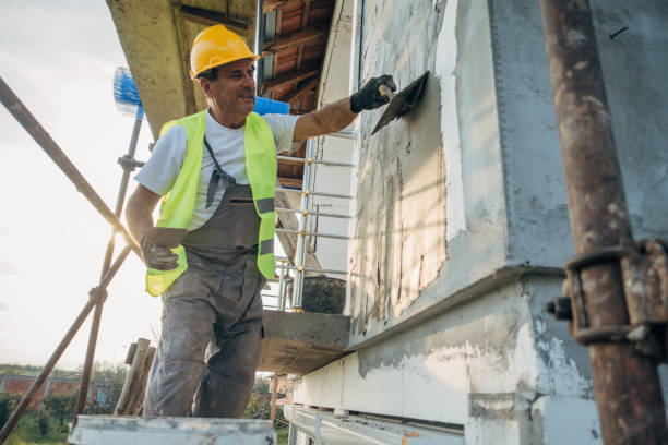 Best Insulation Removal  in Reidsville, NC