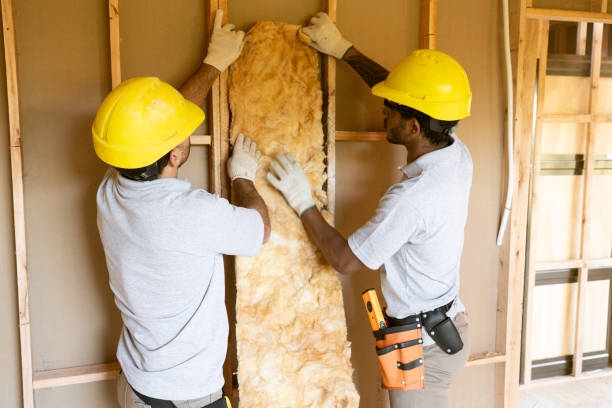 Best Insulation Installation Cost  in Reidsville, NC