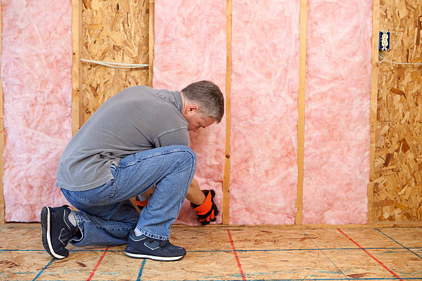 Best Insulation Contractor Near Me  in Reidsville, NC