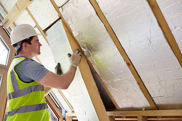 Best Insulation Contractors for Homes  in Reidsville, NC
