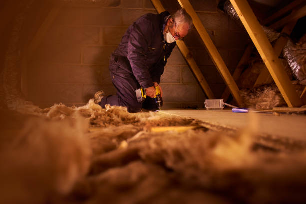 Best Cellulose Insulation  in Reidsville, NC